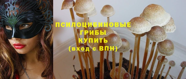 каннабис Алексеевка