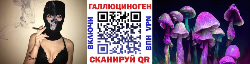 дарк нет официальный сайт  Луга  Псилоцибиновые грибы MAGIC MUSHROOMS 